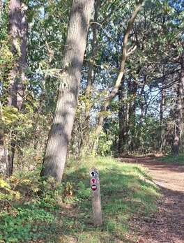 walking route around Callantsoog