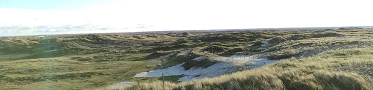 Duinen bij Callantsoog