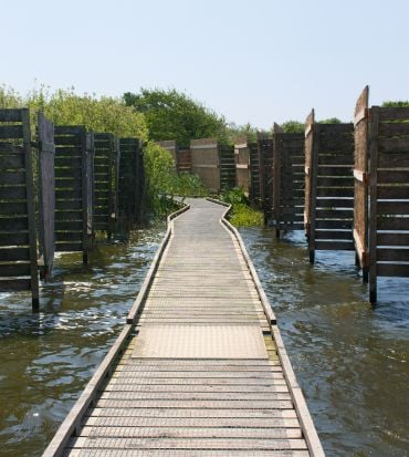 Zwanenwater